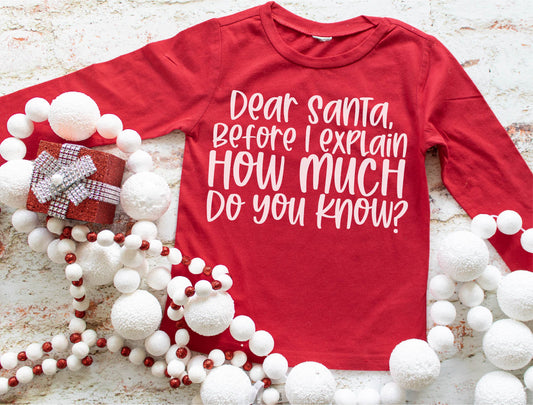 Dear Santa, Before I Explain Youth Shirt