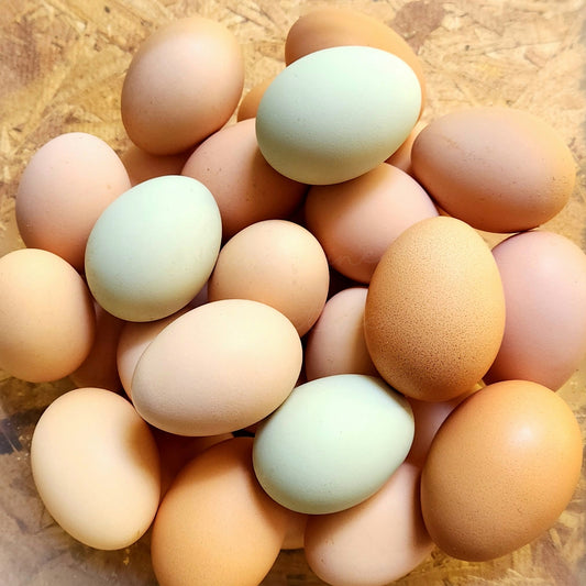 1 Dozen Farm Fresh Pasture Raised Eggs