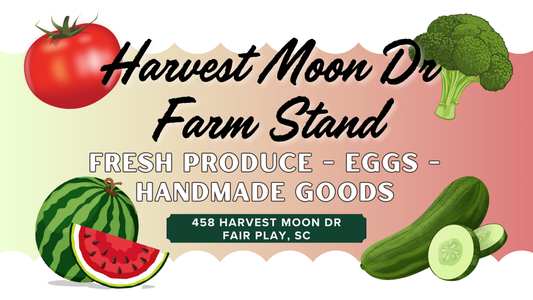 The Farm Stand is OPEN — and You’re Invited! 🌻